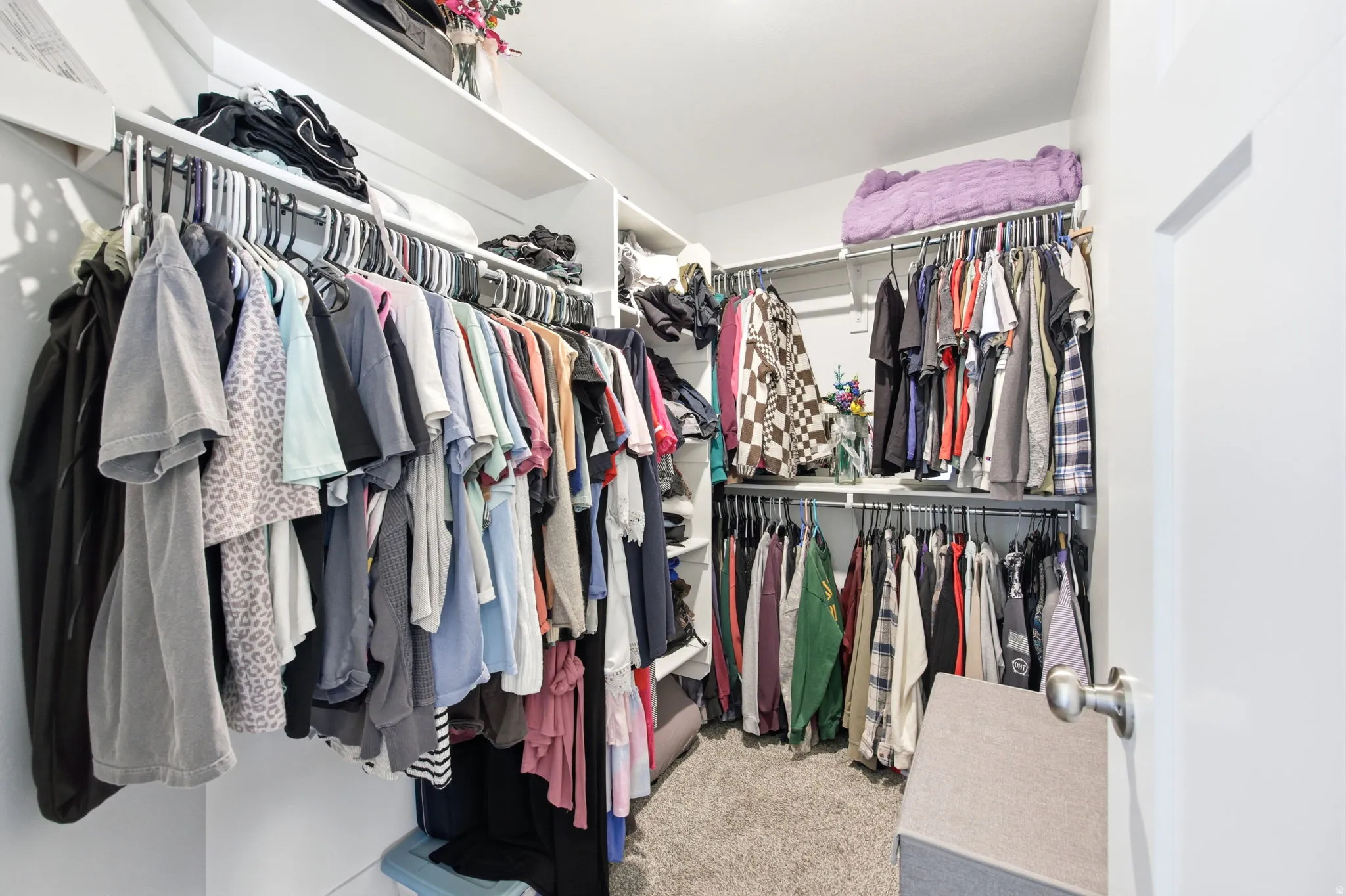 Walk-in closet featuring built-in shelving, multiple hanging rods, and a light gray carpeted floor