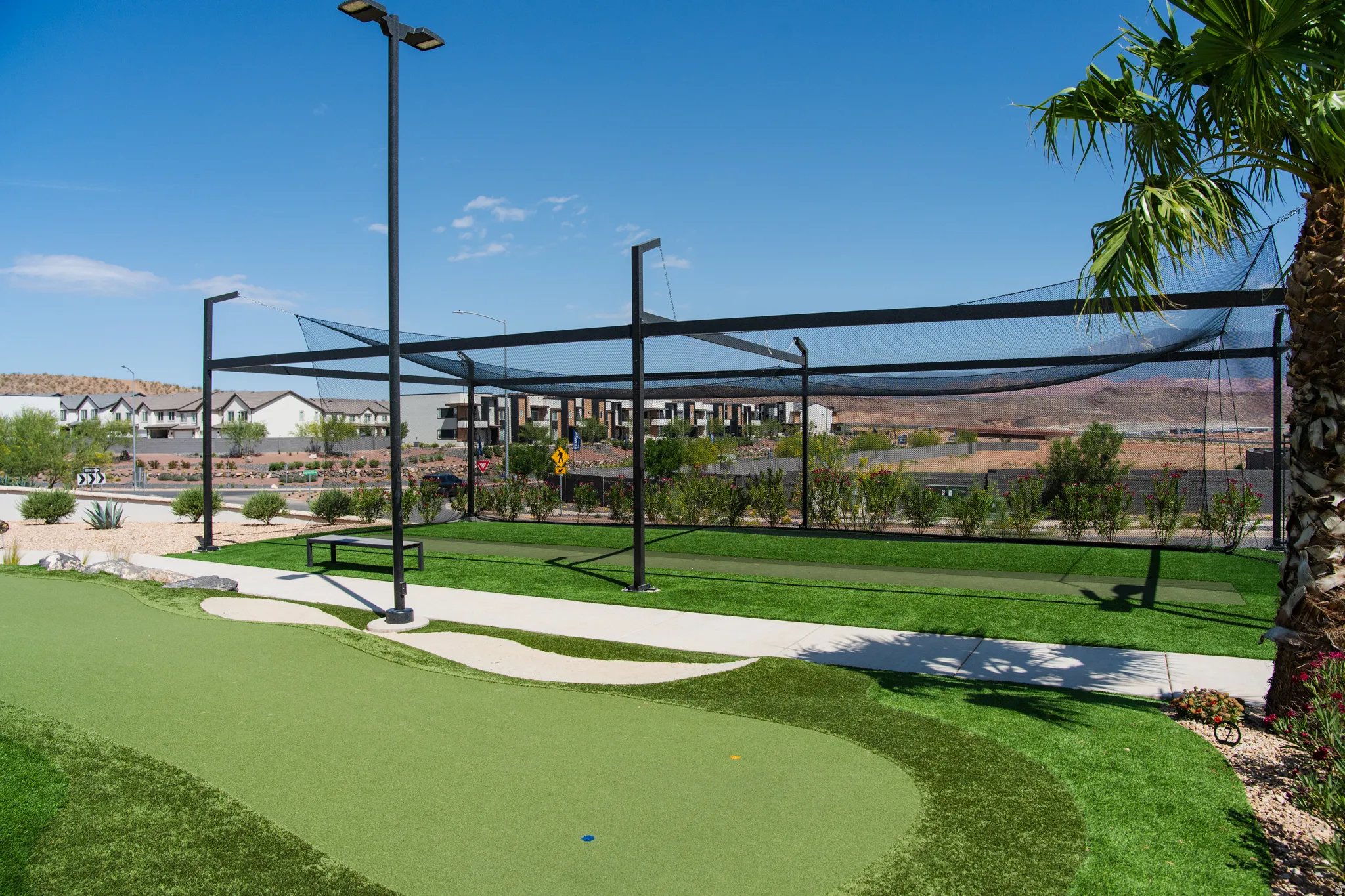 Putting green with a golf practice cage, artificial turf, and a mature palm tree