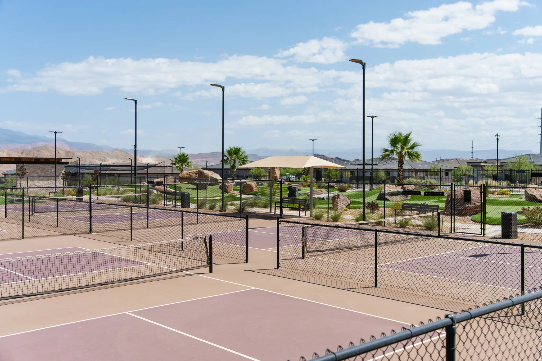 Multiple pickleball courts featuring a purple and tan color scheme with black fencing
