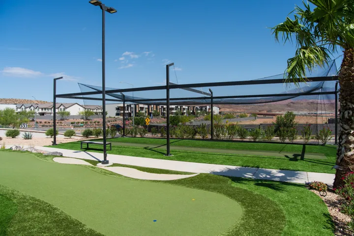 Putting green with a golf practice cage, artificial turf, and a mature palm tree