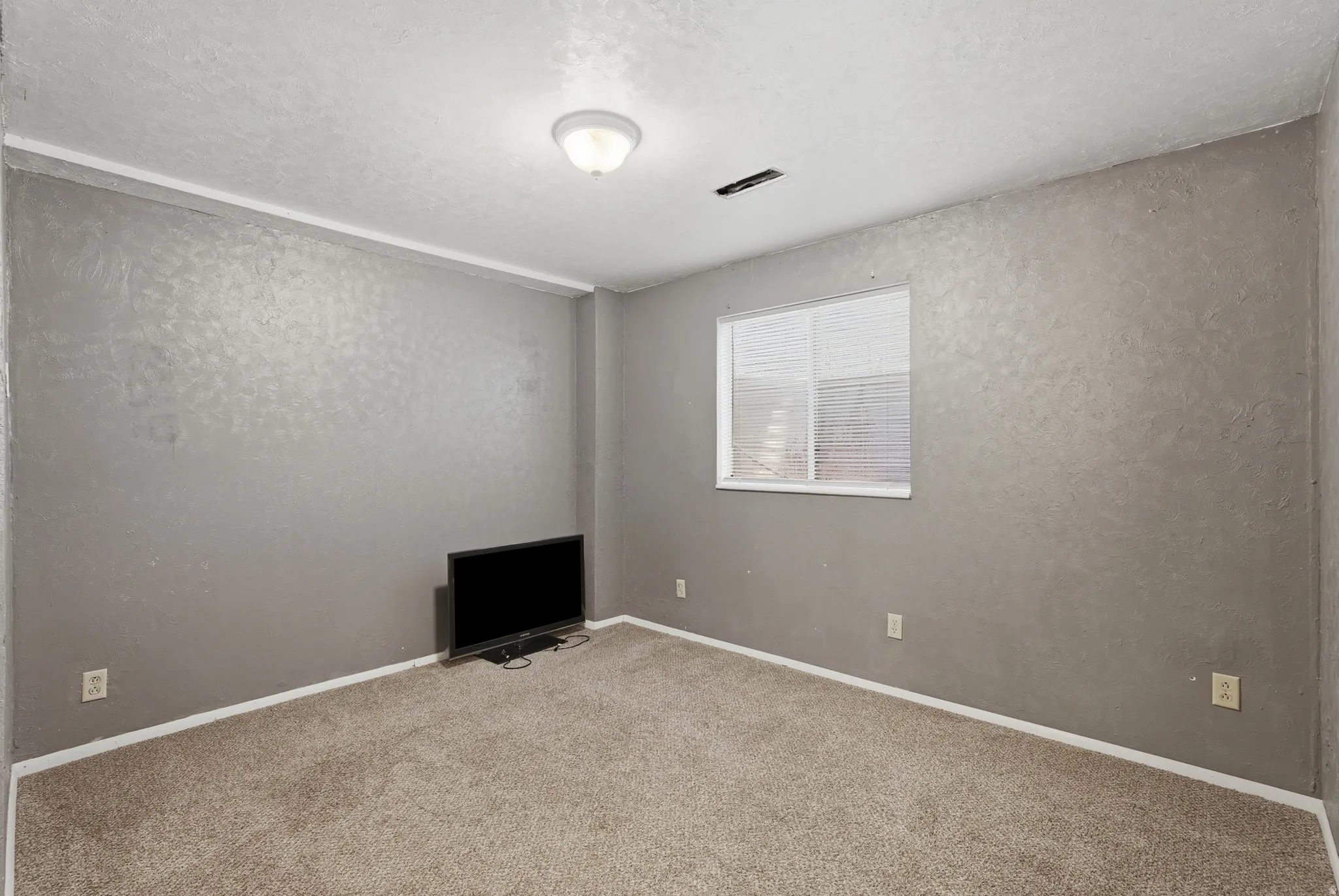 Spacious bedroom featuring neutral textured wallcovering, plush carpet flooring, and abundant natural light from a large window with horizontal blinds