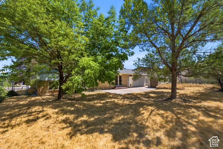Expansive backyard featuring mature trees providing ample shade, a concrete patio, and exterior access to the property