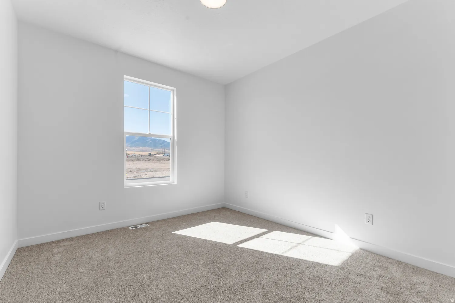 Neutral-toned carpeting paired with white walls, a single-pane window, and a flush-mount ceiling light