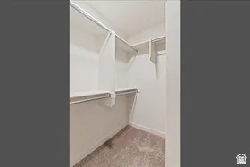 Walk-in closet featuring built-in shelving, chrome hanging rods, white painted walls, and neutral carpeting