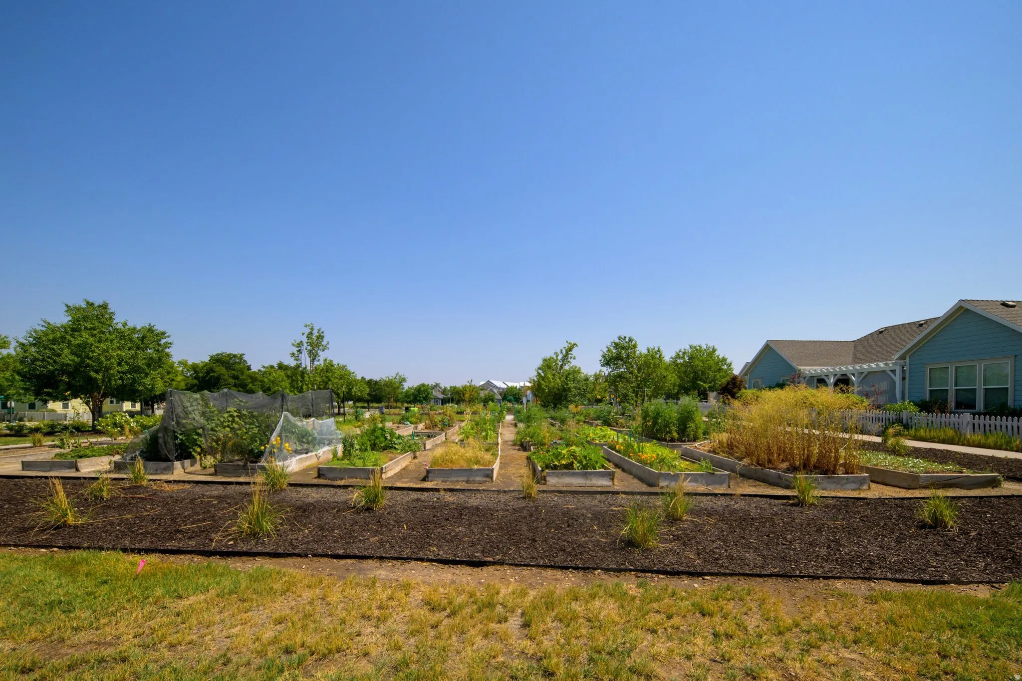 Community garden plots with mature plantings, surrounding landscaping, and nearby residential structures