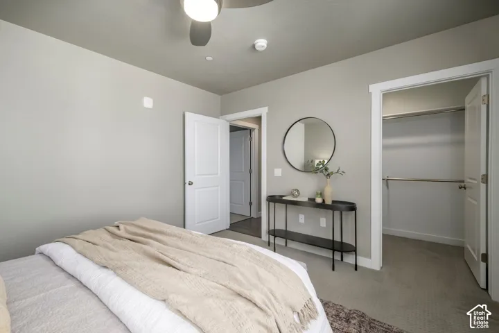 Spacious room featuring neutral carpeting, a ceiling fan, a walk-in closet with shelving and hanging rods, and a two-panel interior door