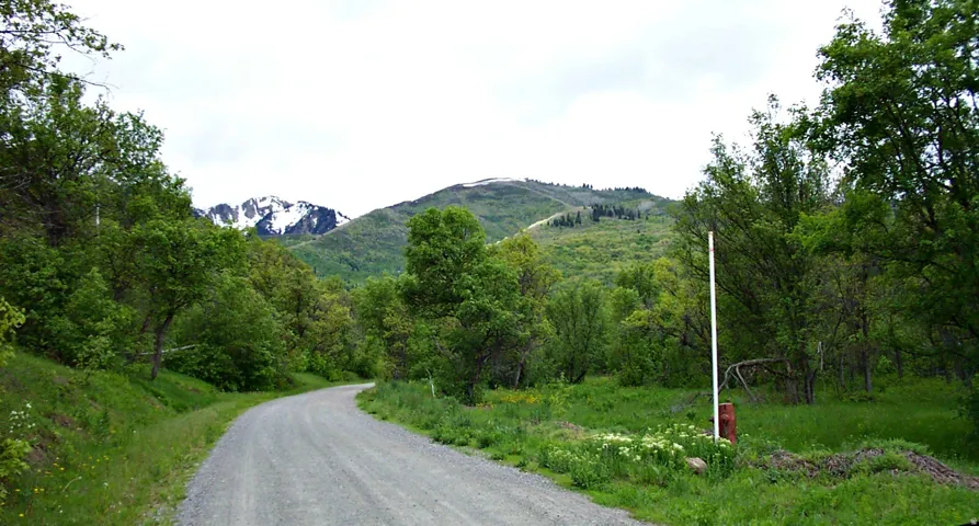 Gravel road winding through lush green foliage, with a prominent mountain backdrop featuring snow-capped peaks and tree-covered slopes