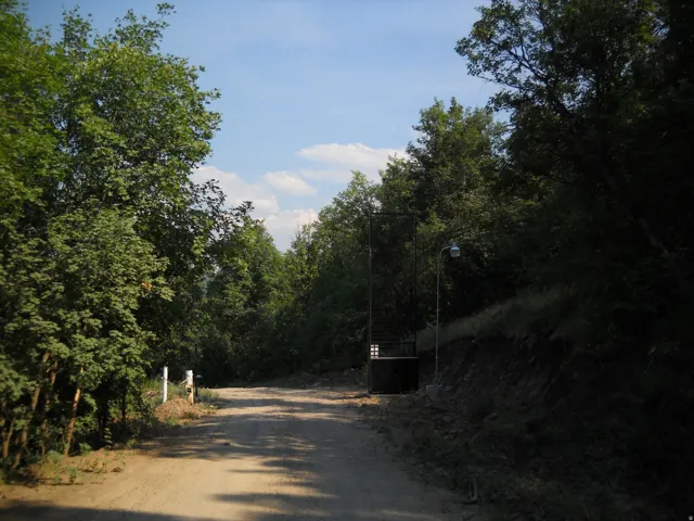 Unpaved road surrounded by dense mature trees and natural landscaping and gate
