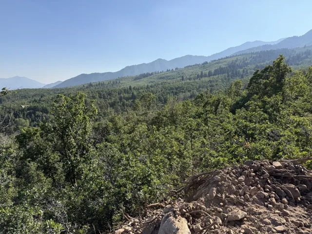 Expansive mountain scenery view from lot featuring a verdant tree canopy and distant peaks