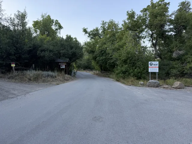 Paved road entrance bordered by natural landscaping and mature trees on Whittemore Dr entrance