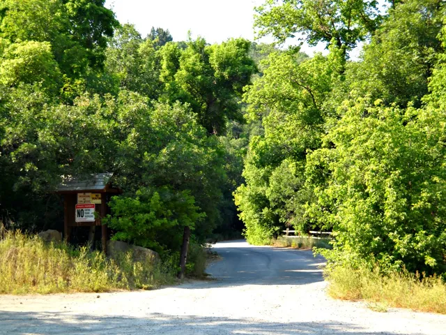 View of dirt / gravel road with a wooded view