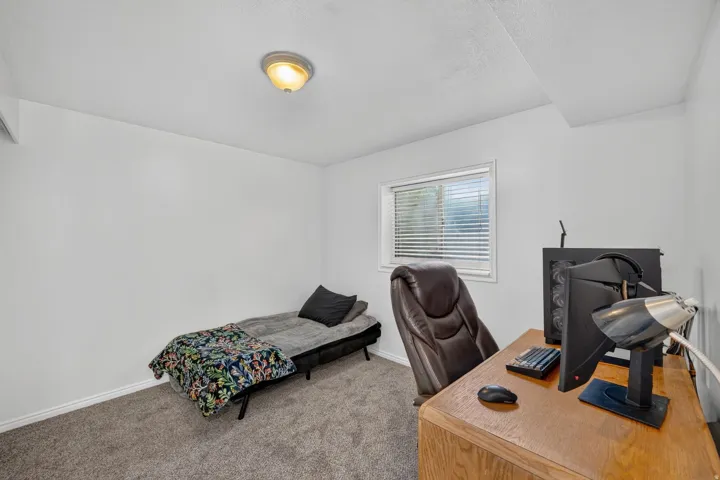 Carpeted room with a single window, white walls, and a ceiling-mounted light fixture