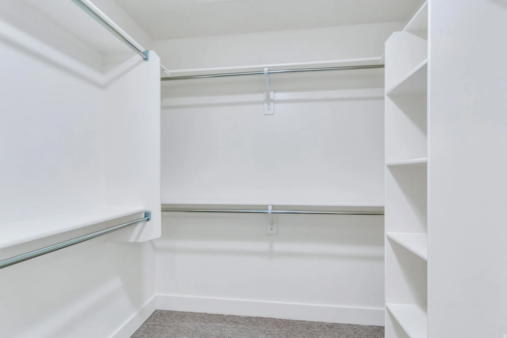 Walk-in closet featuring white built-in shelving, multiple hanging rods, white baseboards, and carpet flooring