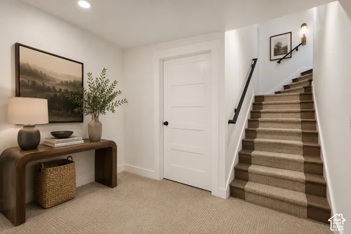 Carpeted staircase with dark wood treads and a black metal handrail
