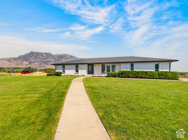 Ranch-style residence featuring a white brick facade, dark roofing, and a prominent concrete pathway
