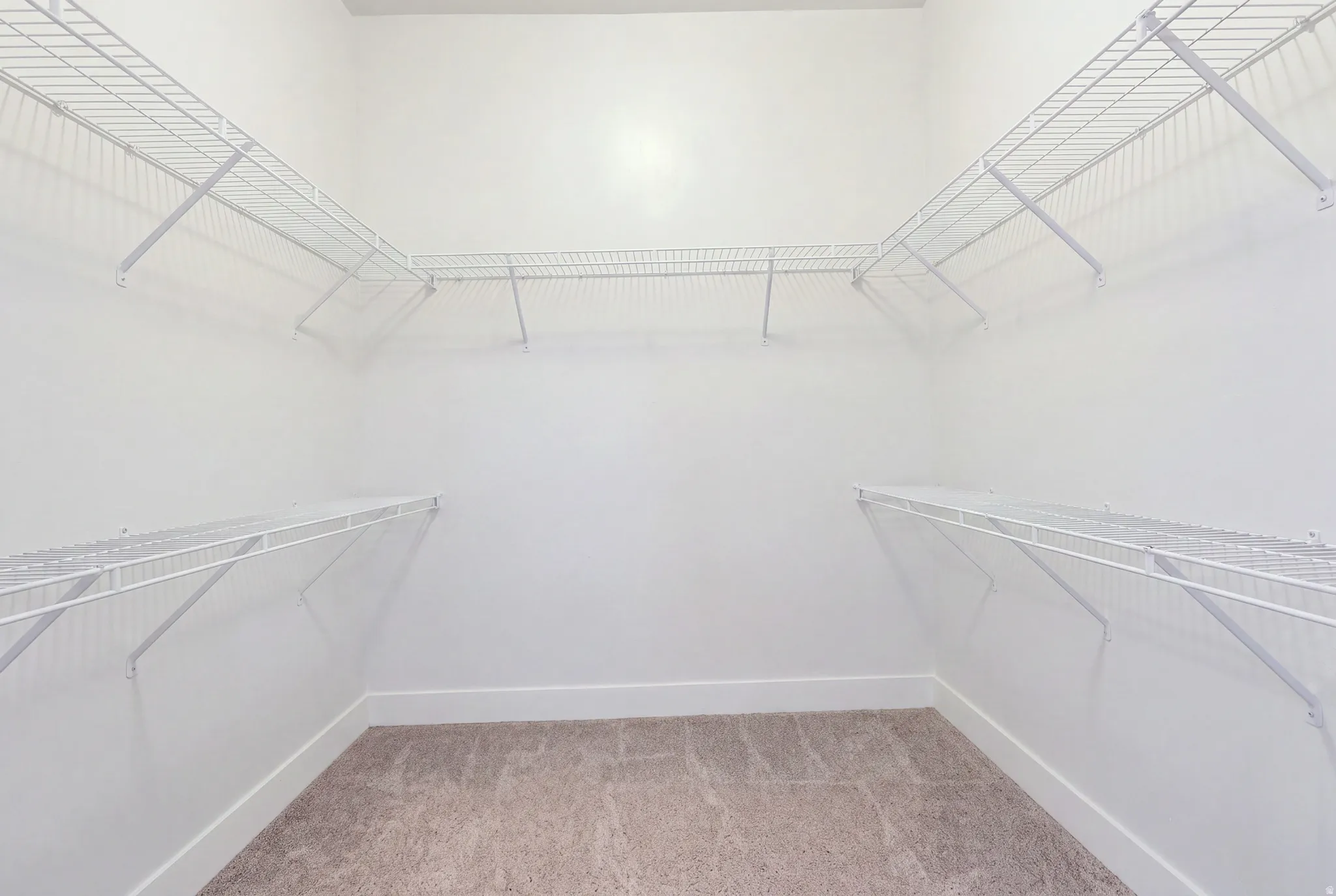Walk-in closet featuring white wire shelving on multiple walls and plush carpet flooring