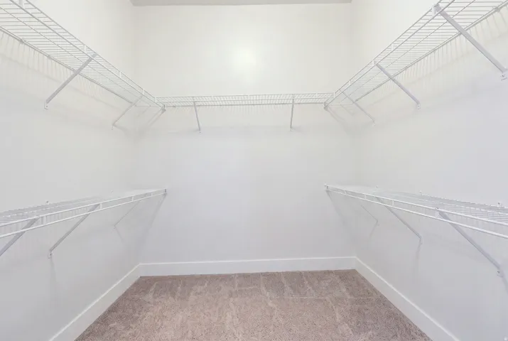 Walk-in closet featuring white wire shelving on multiple walls and plush carpet flooring