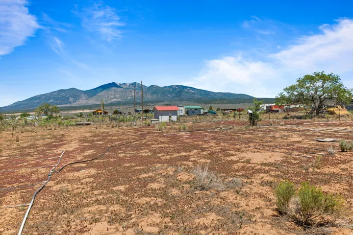 113 S Lisbon Valley Rd, La Sal, Utah 84530