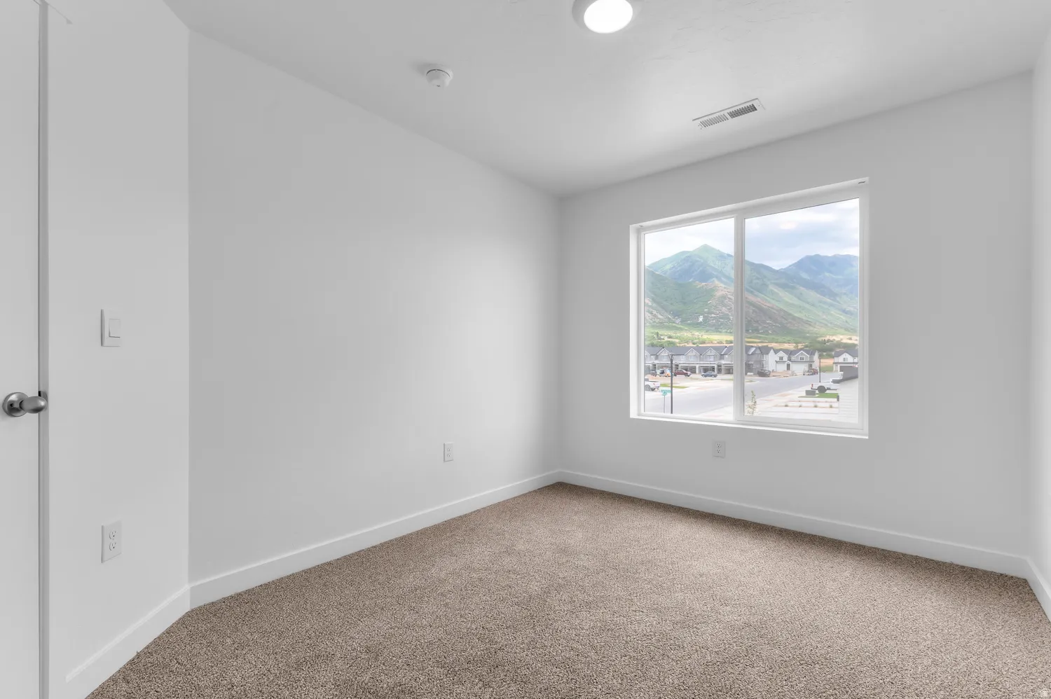 Room featuring a large window, neutral carpeting, white walls, and a ceiling-mounted light fixture