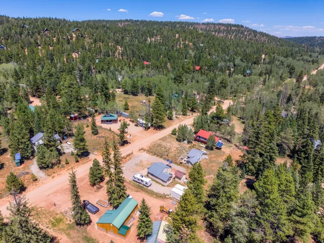 Expansive aerial showcasing multiple properties surrounded by a dense forest of coniferous and deciduous trees