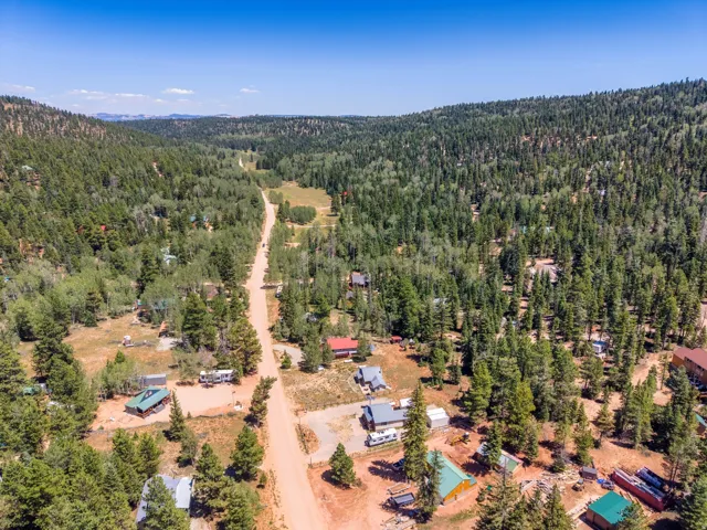 Expansive aerial highlighting a dirt road winding through a heavily forested landscape with scattered residences