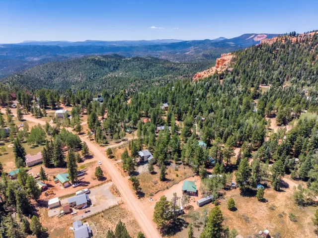 Rural residential setting featuring a dirt road network and diverse tree coverage