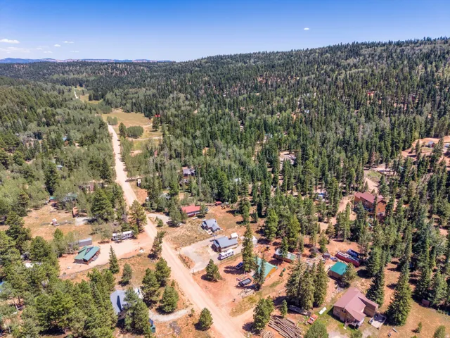Expansive, wooded landscape featuring a network of unpaved roads and scattered residential structures