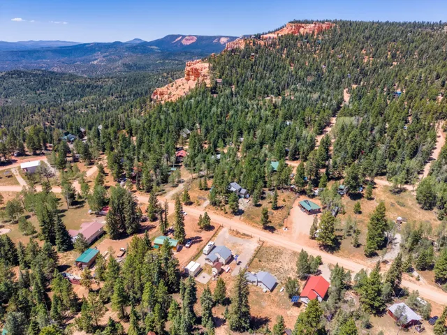 Wooded landscape featuring residential structures and unpaved roads