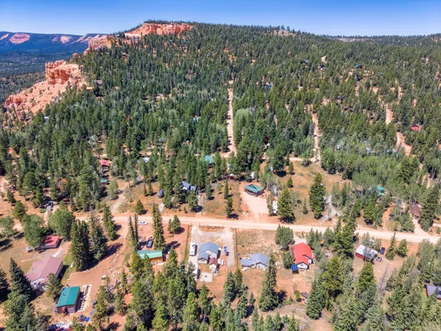 Aerial perspective showcasing a sprawling forested landscape with scattered residences
