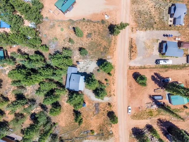 Expansive property featuring a rustic dirt road, mature evergreen trees, and multiple structures with metal roofs