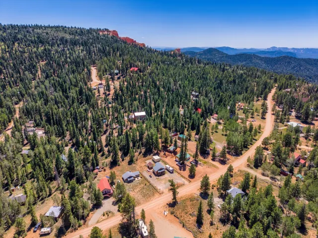 Expansive aerial panorama showcasing a mountainous landscape with mature evergreen trees and a bright blue sky