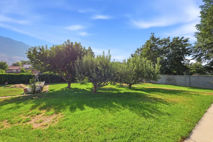 Spacious grassy yard featuring mature fruit trees and a concrete block perimeter wall