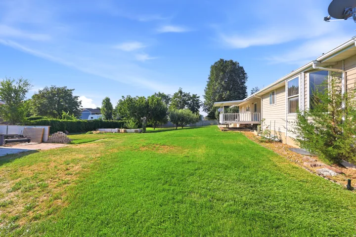 Expansive rear yard featuring green lawn, established perimeter hedging, mature trees, and a raised wooden deck with railings