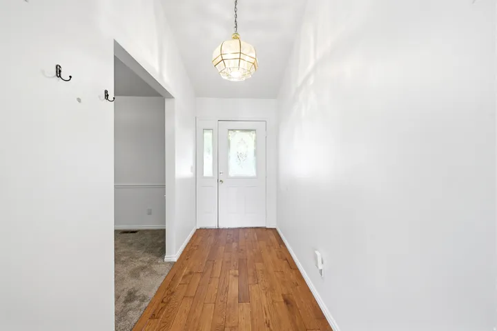 Entryway featuring wood-finish flooring, a decorative pendant light fixture, a white paneled front door with a frosted glass insert, and a sidelight window