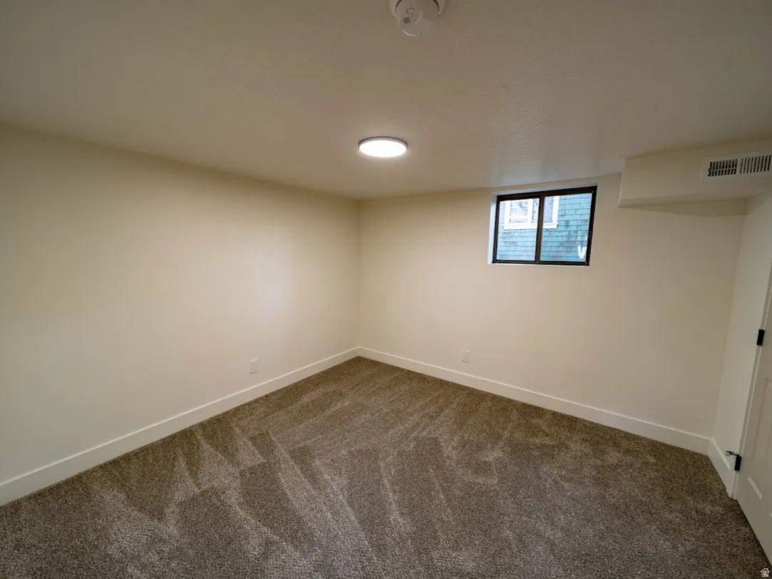 Carpeted room with a black-framed window, white walls, and a flush-mount ceiling light