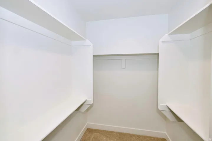 Expansive walk-in closet featuring white built-in shelving, a hanging rod, and carpet flooring