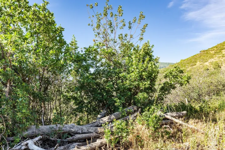 Unit 73-a, Kamas, Utah 84036