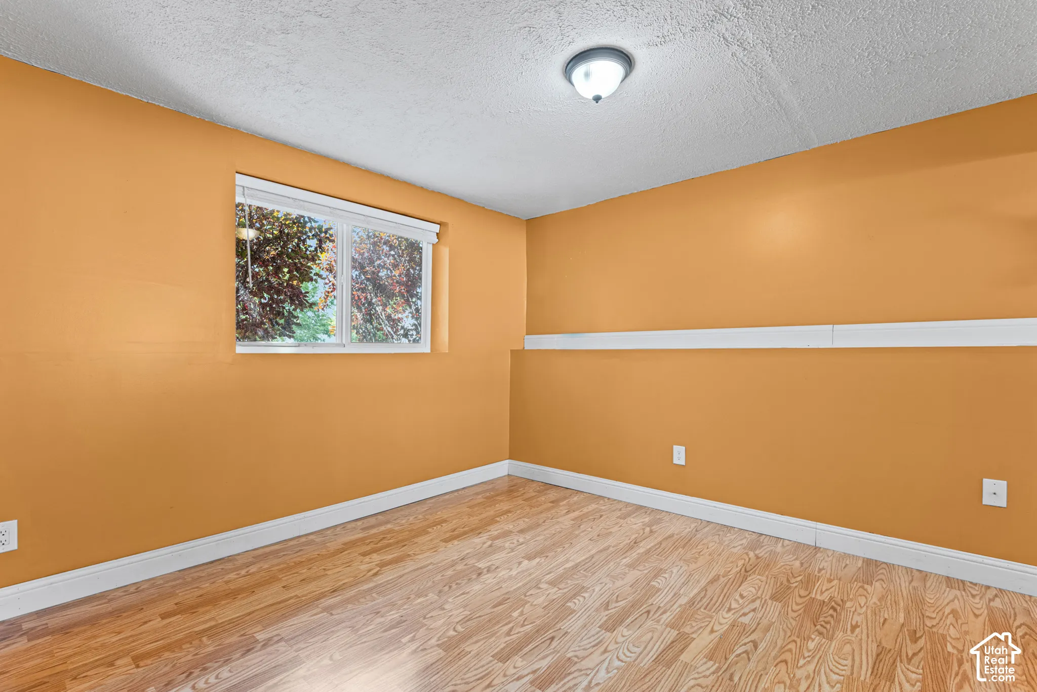 Wood-finish flooring, white trim, and a flush mount ceiling light fixture