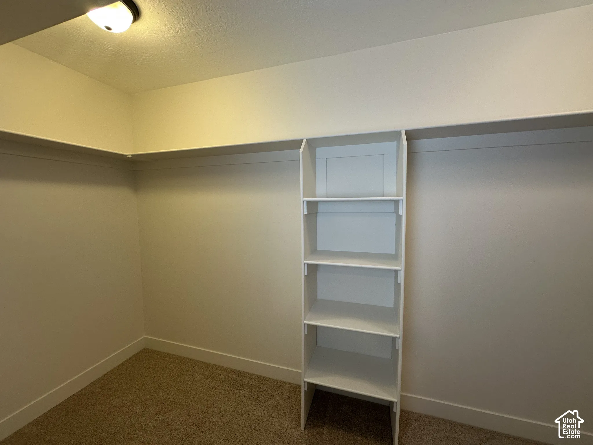 Walk-in closet with built-in shelving, hanging rods, recessed lighting, and carpet flooring