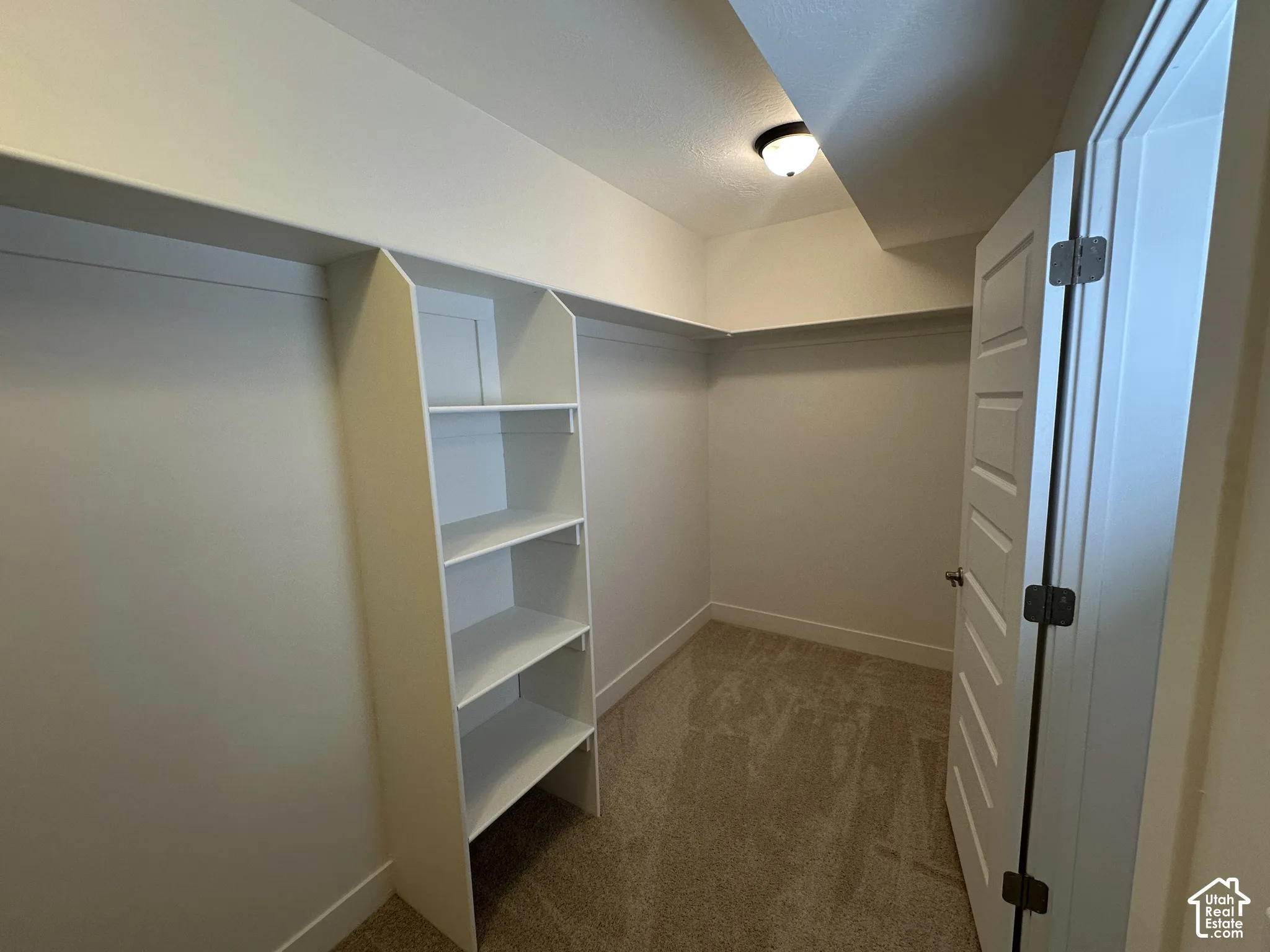 Walk-in closet featuring built-in shelving, hanging rods, light-toned carpet, and a paneled door