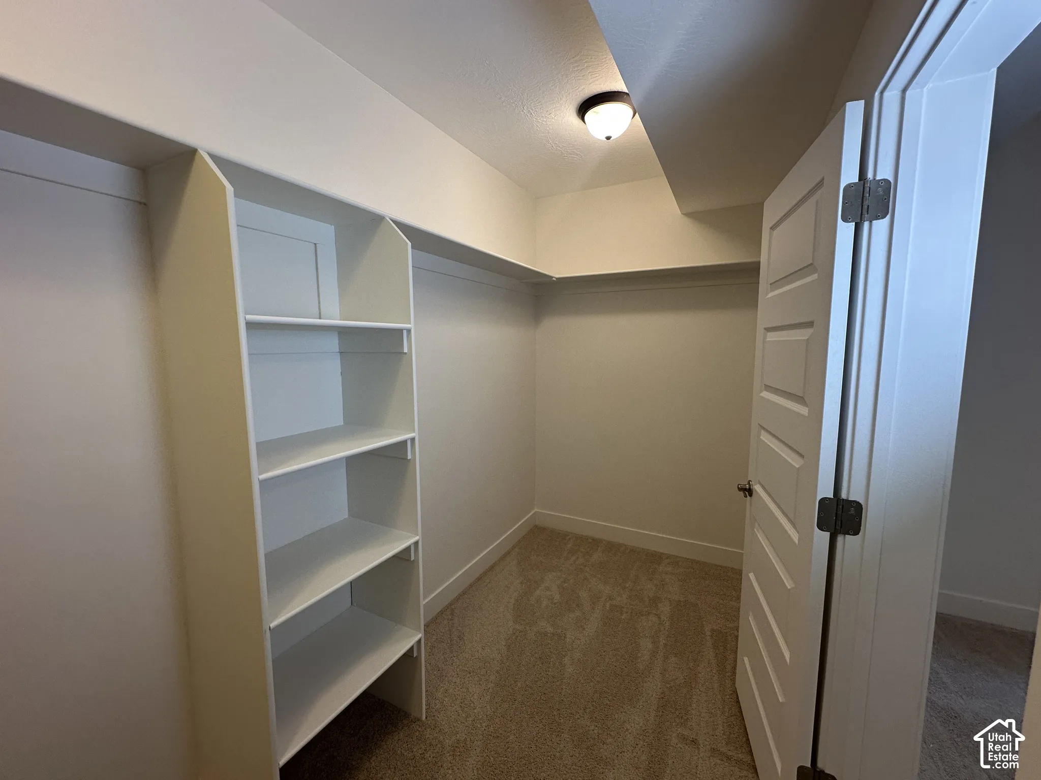Walk-in closet featuring built-in shelving, carpet flooring, a flush-mount light fixture, and a paneled interior door