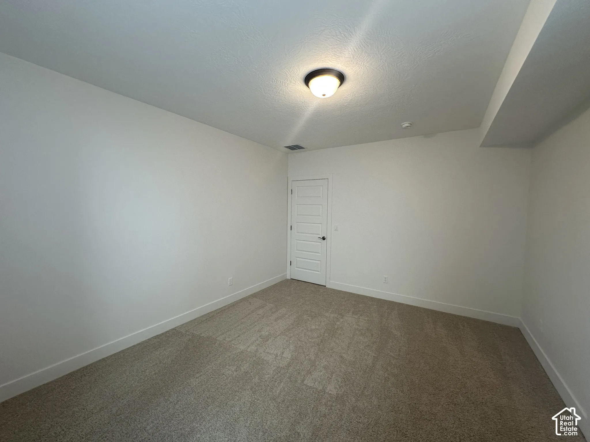Neutral-toned carpeting paired with white walls, a white five-panel interior door with black hardware, and a semi-flush mount ceiling light fixture