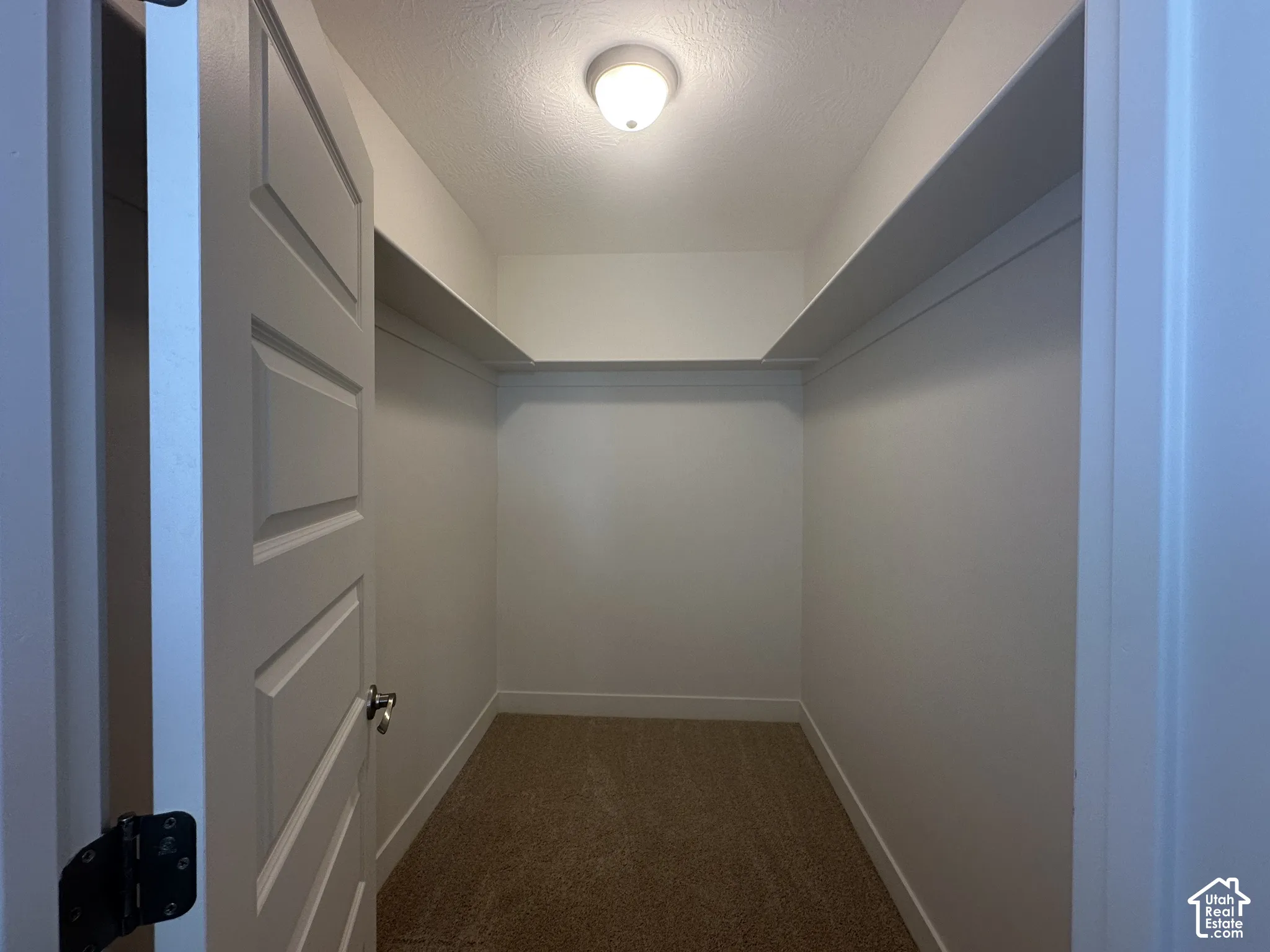 Carpeted walk-in closet featuring built-in shelving, white trim, and a ceiling-mounted light fixture