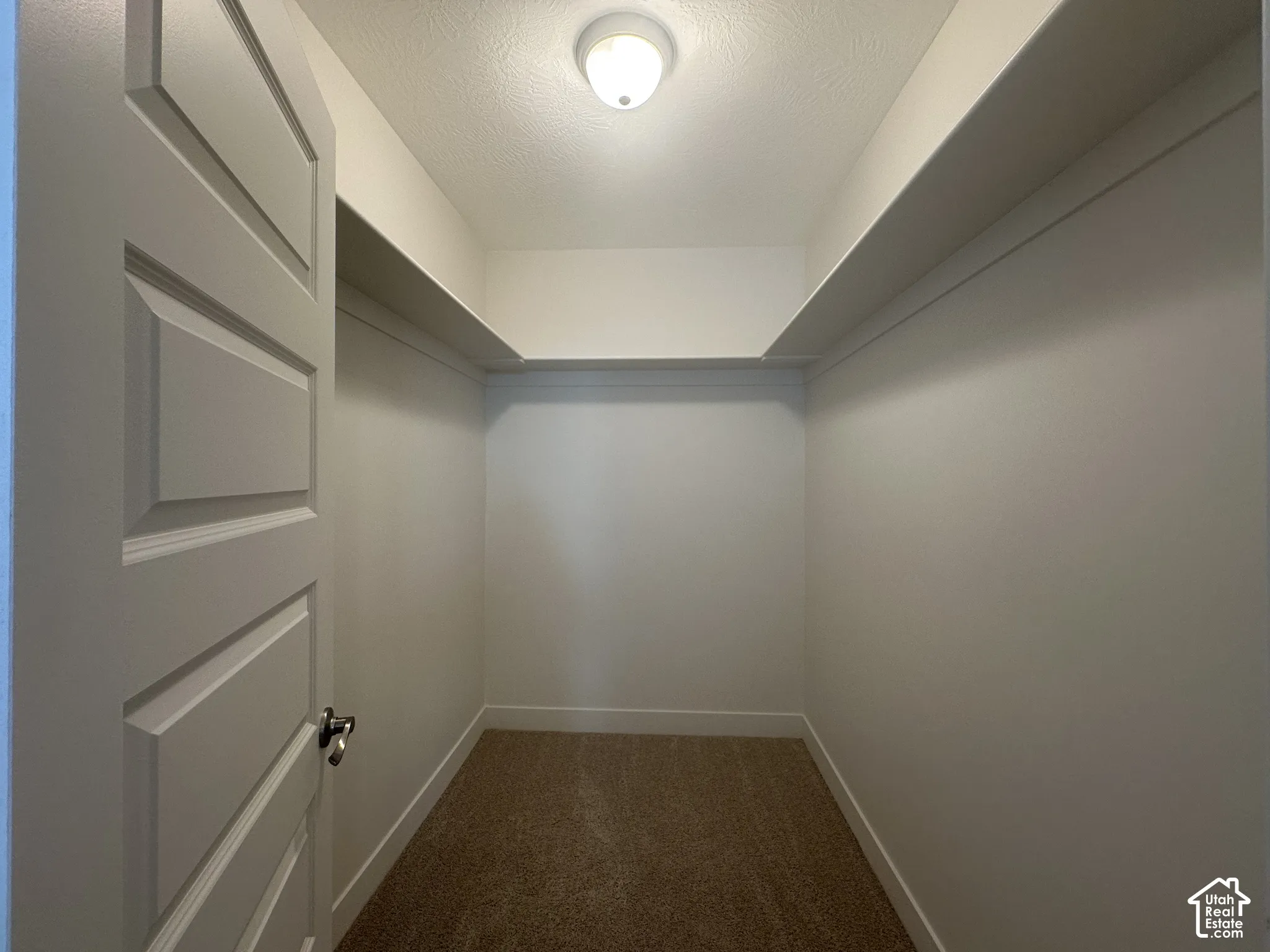 Walk-in closet featuring built-in shelving, neutral carpeting, white trim, and a ceiling-mounted light fixture