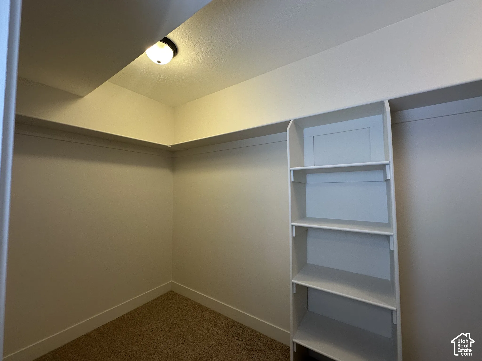 Walk-in closet featuring built-in shelving, hanging rods, recessed lighting, and carpet flooring