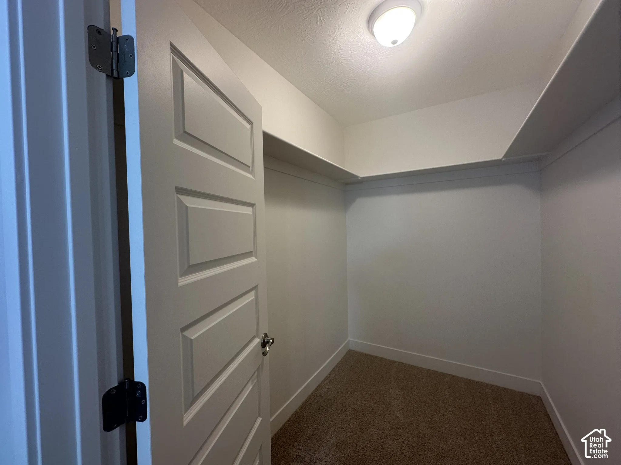 Recessed walk-in closet with overhead lighting and a textured carpeted floor