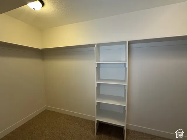 Walk-in closet with built-in shelving, hanging rods, recessed lighting, and carpet flooring