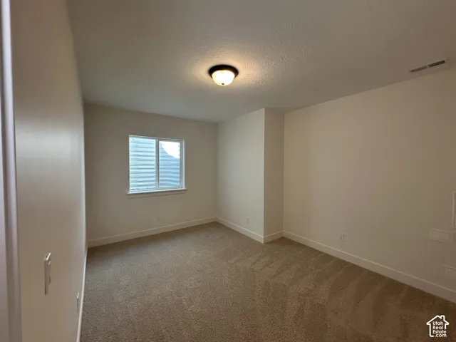 Carpeted room featuring a single window with blinds, white trim, and a ceiling-mounted light fixture