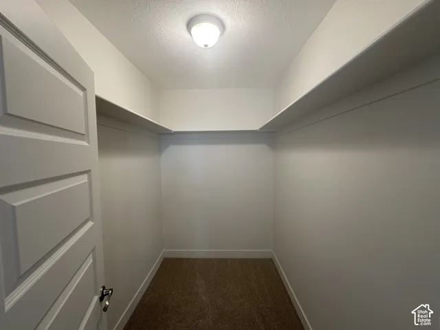 Spacious walk-in closet featuring built-in shelving, neutral-toned carpeting, and a flush-mount ceiling light fixture
