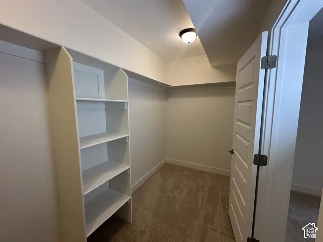 Walk-in closet featuring built-in shelving, carpet flooring, a flush-mount light fixture, and a paneled interior door